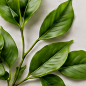 Ascorbyl Glucoside